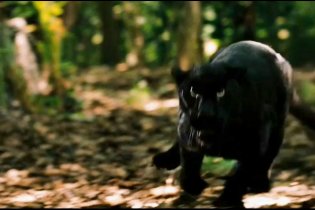 Apocalypto - Teaser