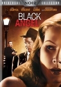 La locandina di L'angelo nero