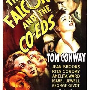 La locandina di Il Falco e le studentesse