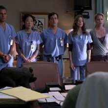 Justin Chambers, Sandra Oh, T.R. Knight, Ellen Pompeo e Katherine Heigl nell'episodio 'Losing my Religion' della serie Grey's Anatomy