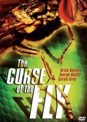 La locandina di La maledizione della mosca