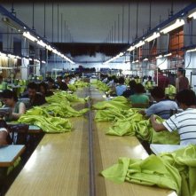 Una Scena Del Film Gomorra 59342