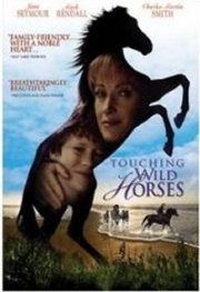 La locandina di L'isola dei cavalli selvaggi