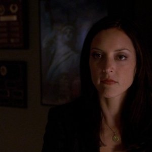 Lola Glaudini interpreta Elle Greenaway, una profiler con esperienza di crimini sessuali, nell'episodio 'Broken Mirror' della serie Criminal Minds