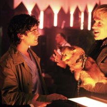 Bob Hoskins, Riccardo Scamarcio e Matthew Modine in una scena del film Go Go Teles