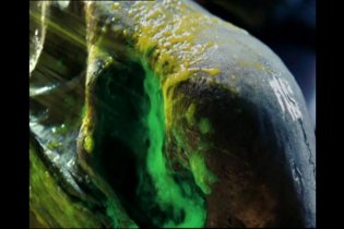 Alien vs. Predator 2 - Spot 'In Space'