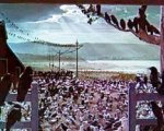 Curiosità su Gli uccelli