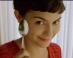 Il DVD de Il favoloso mondo di Amélie