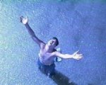 Il DVD di Le ali della libertà