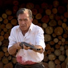 Una scena del film La notte dei girasoli