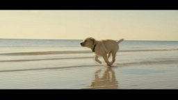 Marley & Me - Teaser Trailer