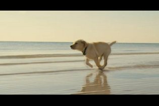 Marley & Me - Teaser Trailer