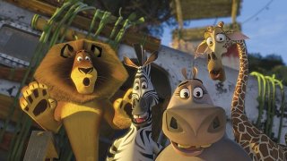 Un'immagine di gruppo tratta dal film d'animazione Madagascar 2 - Via dall'isola