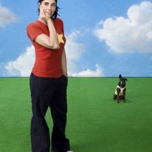 La locandina di The Sarah Silverman Program.