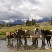 Una immagine del film Big City