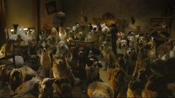 Hotel for Dogs - Trailer