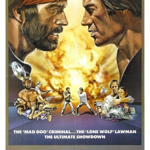 La locandina di Una magnum per McQuade