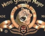 La MGM realizzerà Still You