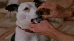 Lui, lei e Babydog - Trailer italiano