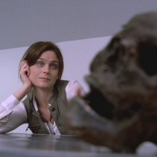 Emily Deschanel Nell Episodio Pilota Della Serie Tv Bones 80839