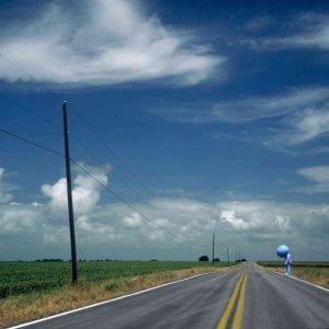 Un'immagine tratta dal film Kabluey