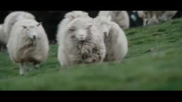 Black Sheep - Trailer
