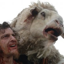 Oliver Driver e la pecora in una scena di Black Sheep