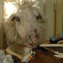 Una pecora assassina di Black Sheep