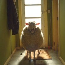 Una pecora in una scena di Black Sheep