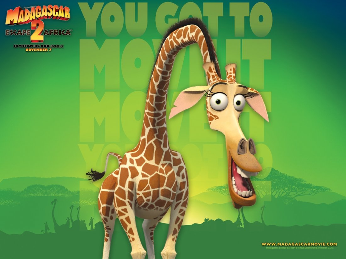 Come Si Chiama La Giraffa Di Madagascar