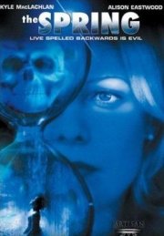 La locandina di Il mistero della fonte