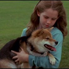 JìKatie Stuart interpreta la piccola Cassandra nell'episodio 'Il cavallo di Troia' della serie tv Stargate SG-1