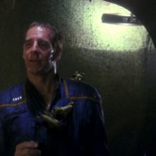 Scott Bakula ricoperto di piccoli xindi insettoidi nell'episodio 'Il nido', della serie tv Enterprise.