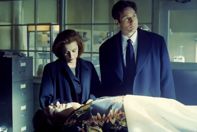 David Duchovny e Gillian Anderson in X-Files