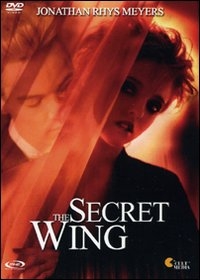 La locandina di The secret wing