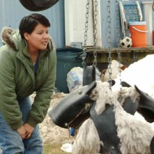 Misty Upham in una scena del film Frozen River