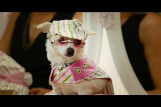 Beverly Hills Chihuahua - Trailer