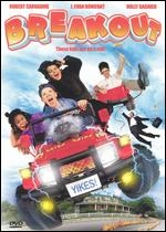 Locandina di A tutto gas