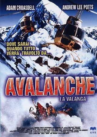 La locandina di Avalanche - La valanga