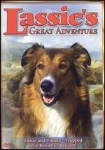 La locandina di Lassie: la grande avventura
