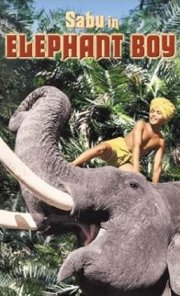 La locandina di La danza degli elefanti