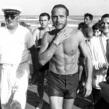 Mostra del Cinema di Venezia 1963: Paul Newman esce dall'acqua dopo aver fatto un bagno.