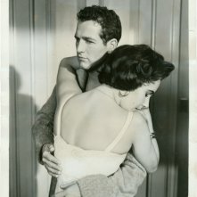 Paul Newman e Liz Taylor in una foto promozionale per La gatta sul tetto che scotta