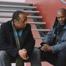 Un'immagine di 35 Rhums