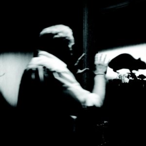 Un'immagine di A Erva do Rato