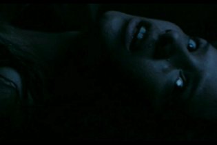 Shrooms - Trip senza ritorno - Trailer italiano