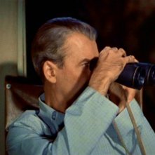 James Stewart e il suo binocolo in La finestra sul cortile