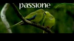 Animals in Love - Trailer italiano