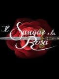 La locandina della fiction Il sangue e la rosa