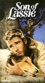 Locandina di Il figlio di Lassie